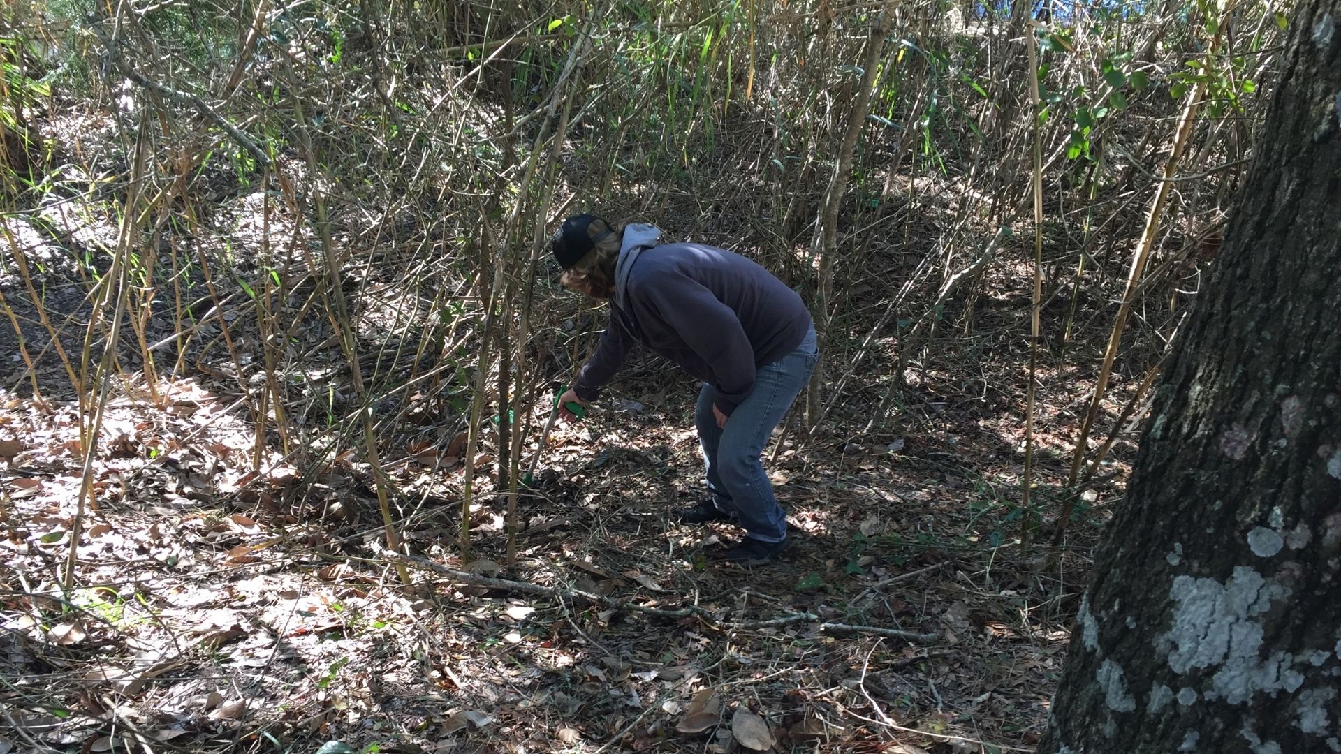 A winding road through a beautiful Florida landscape