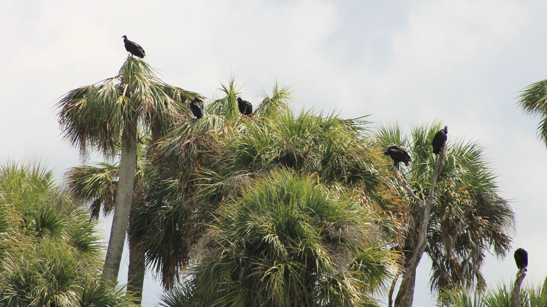 A person taking notes at a scenic campsite