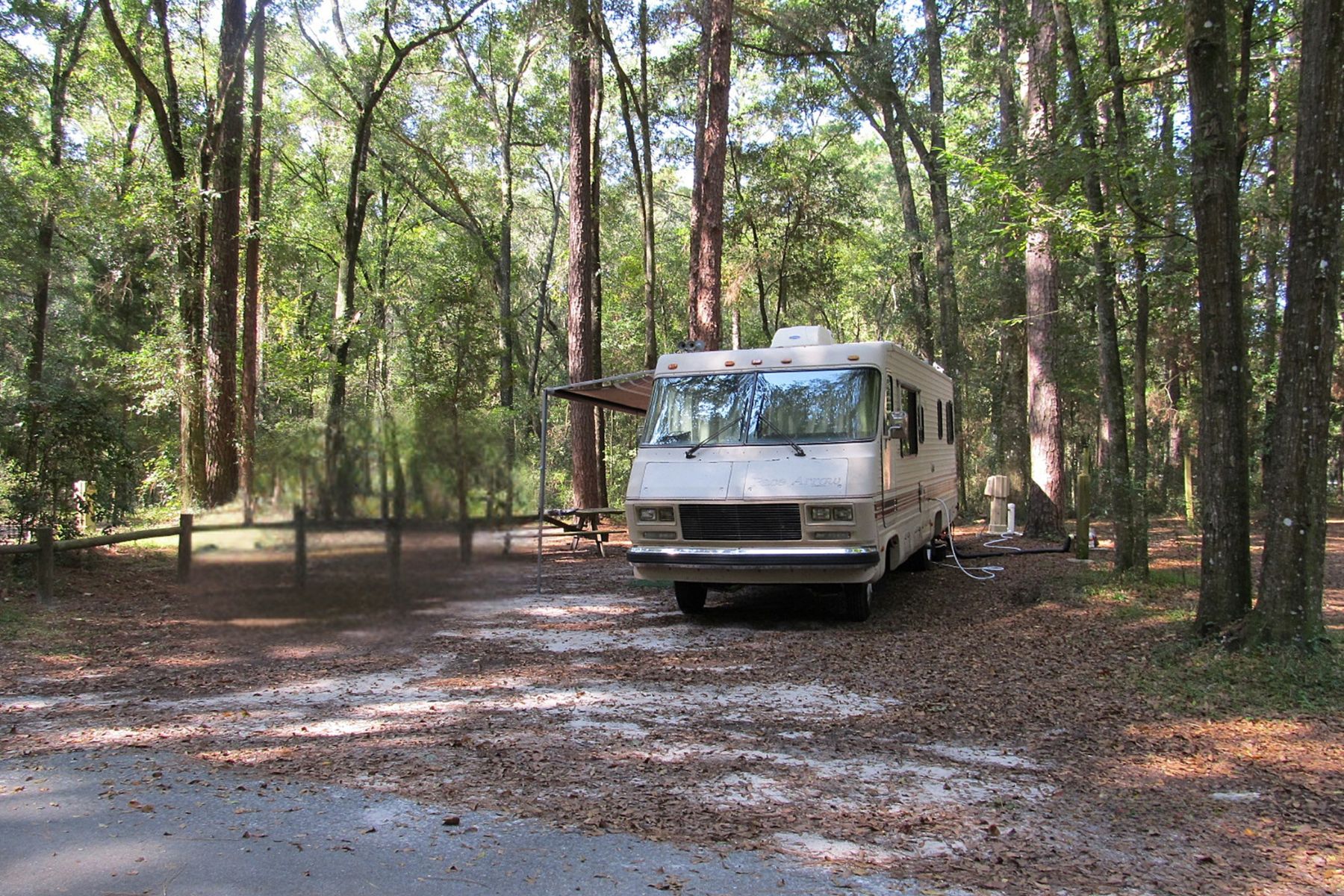 A beautiful, serene campsite in Florida